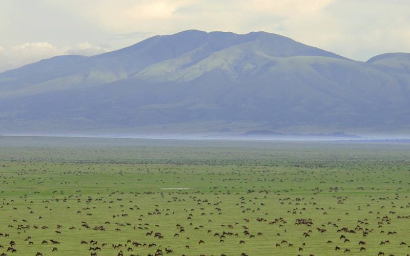Serengeti National Park