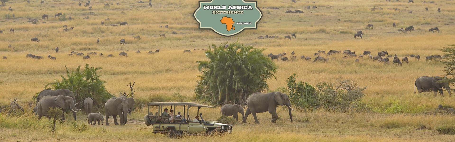 World Africa Experience Ltd