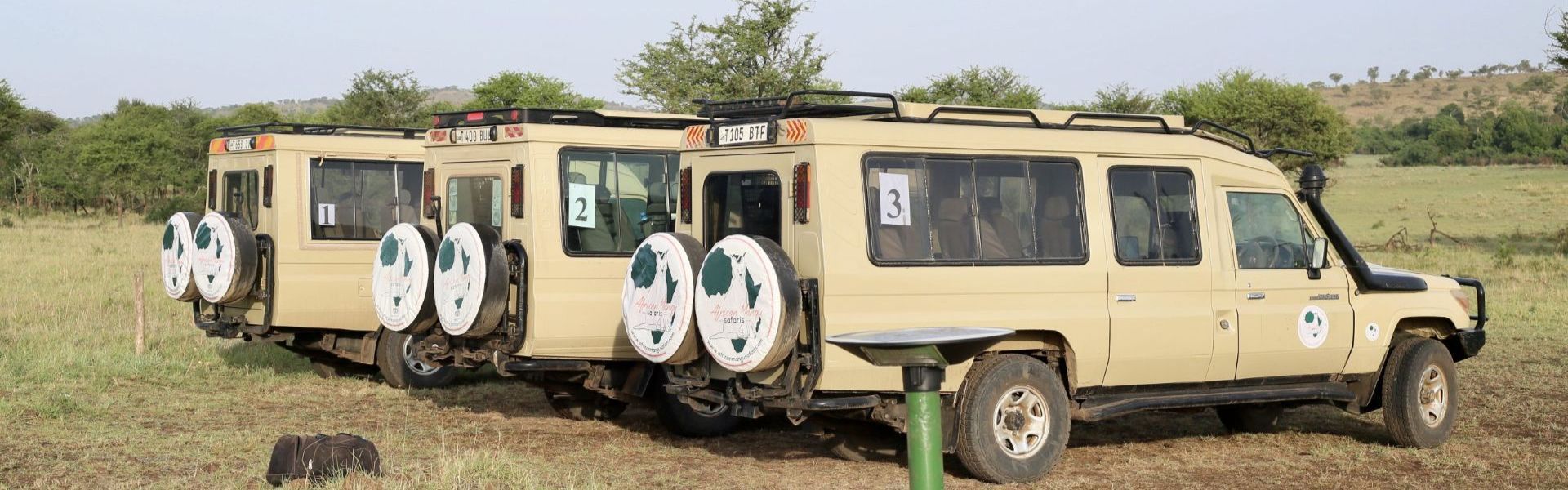 African Mangu Safaris