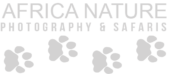 AFRICA NATURE PHOTOGRAPHY AND SAFARIS LIMITED