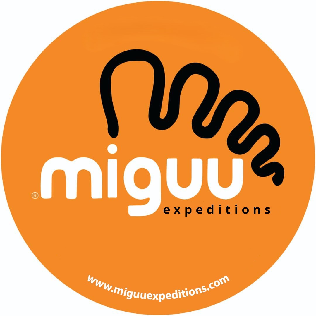 Miguu Limited