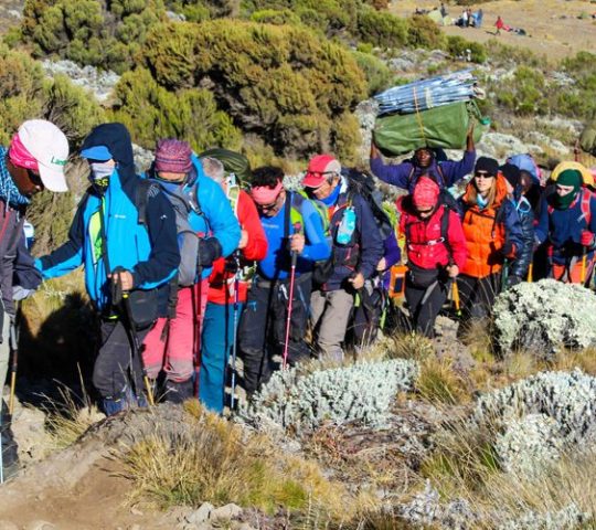 5 Days Kilimanjaro Marangu Route by Tanzania Travel & Safaris