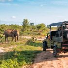 6 Days Midrange Tanzania Safari by Tanzania Travel & Safaris
