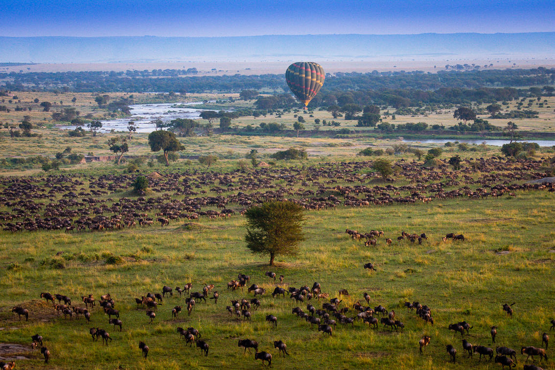 tourism agency in tanzania