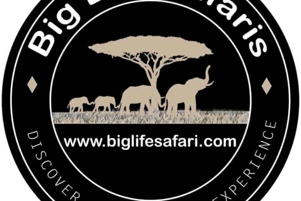 BIG LIFE SAFARI LTD