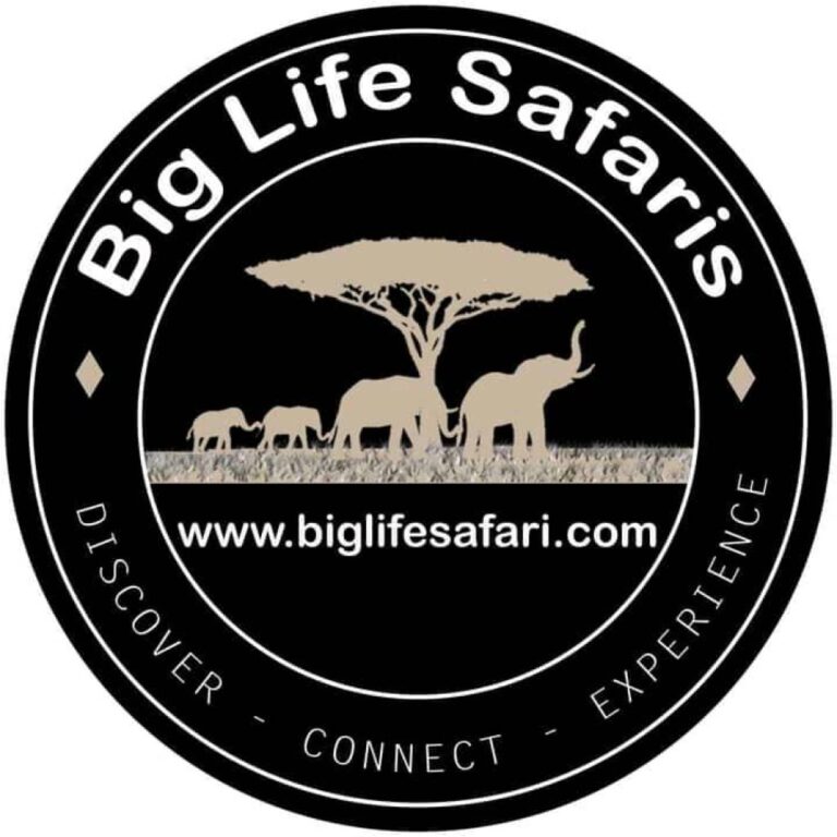 BIG LIFE SAFARI LTD