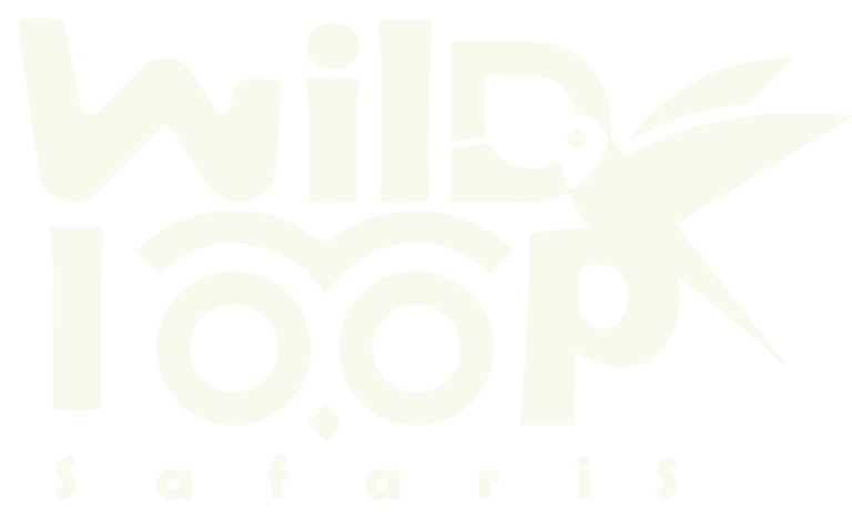 WILDLOOP-SAFARISArtboard-3-1